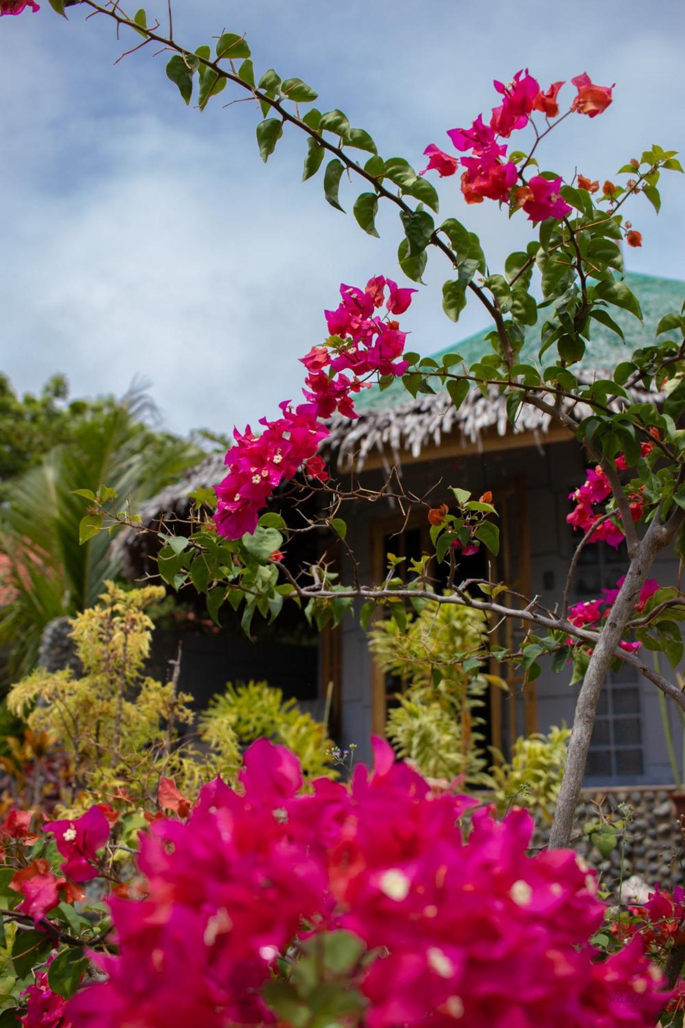 Rhenmart-Inn Siquijor Esterno foto